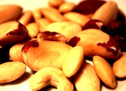boldoggá