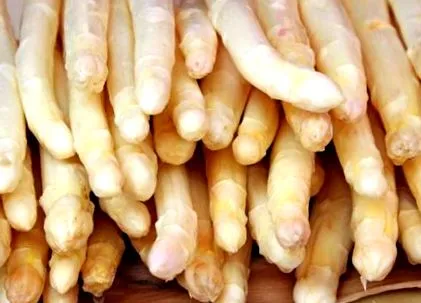 sfaturi