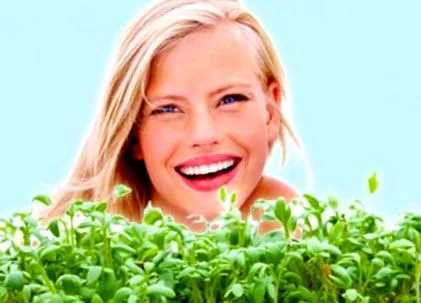 bombele vitamine