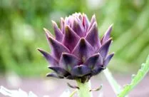 întărim