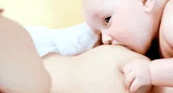pregătirea