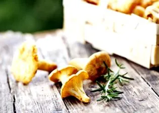 ajuta