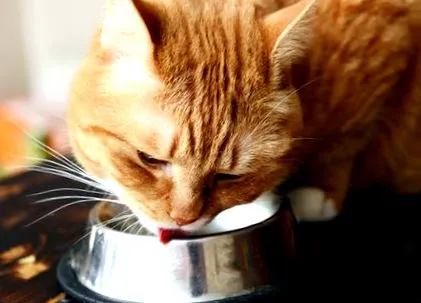 étel
