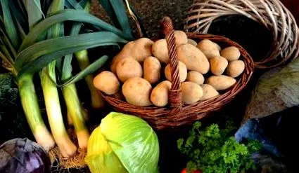 dietă dietă