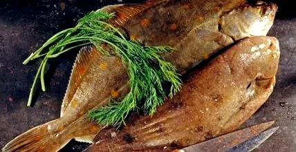 lepényhal lepényhal