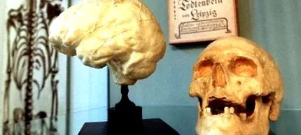 önző