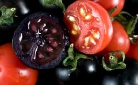 tomate