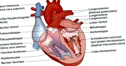 deximed