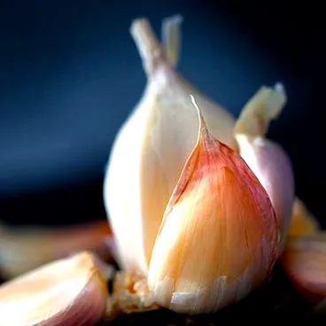 sănătos