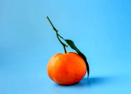 gyilkosok zsíros
