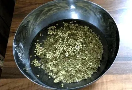 teplá