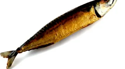 meghatározása