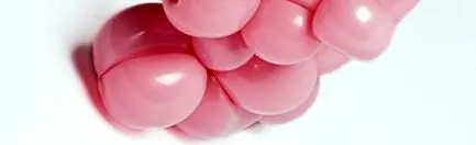 gyomromban