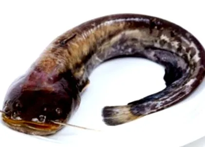 élesebb
