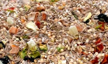 specialt diet
