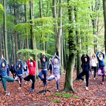 jógaműhelyeket