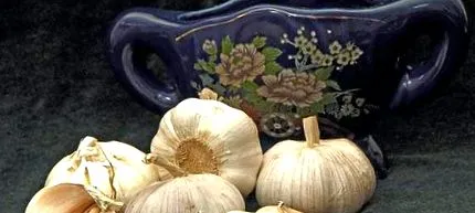 alacsony szénhidráttartalmú