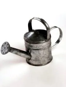 tiszta tiszta
