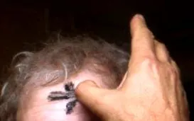 започнува започнува
