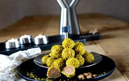 gourmet pisică