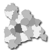 консультантів
