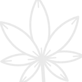 nagykereskedelem medical GmbH