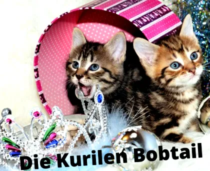 fajták