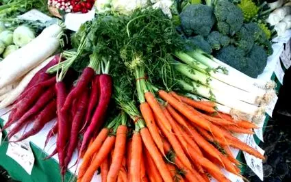 alimentară