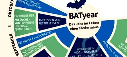 batyear вака