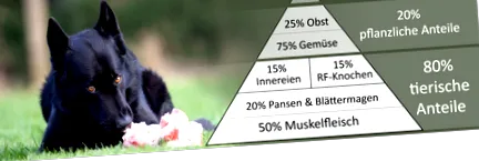 egészséges