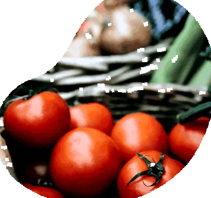 alimentație