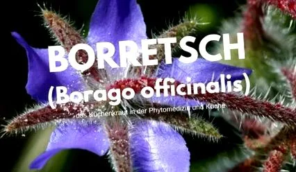borágó