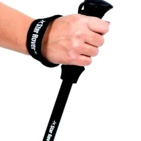 nordic walking