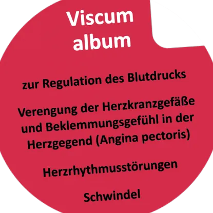 coragil