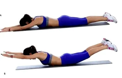 exerciții