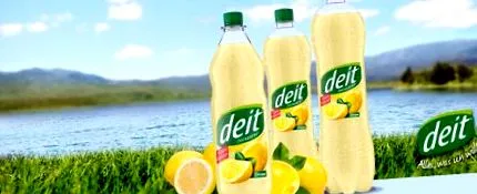 deit