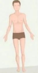ektomorf vagy