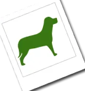 angol Terrier