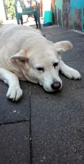 rheinerft