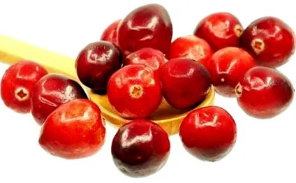 cranberry