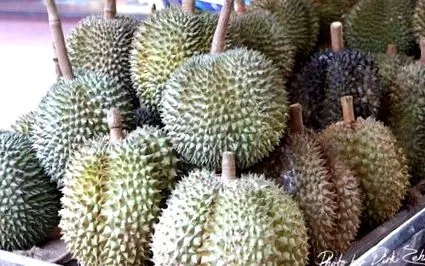 durian