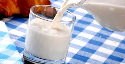 tőgy