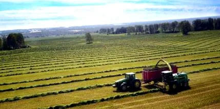 agriculturii online