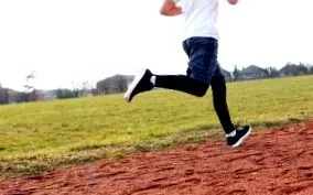 táplálkozási