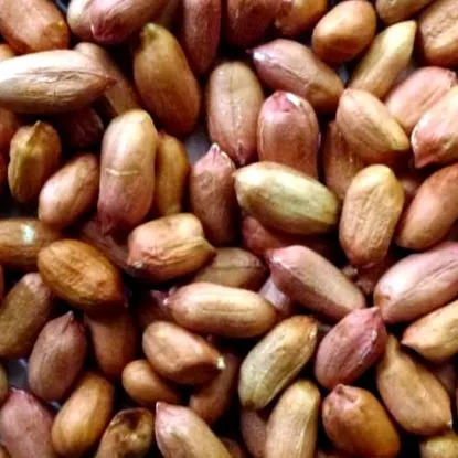 bőrrel