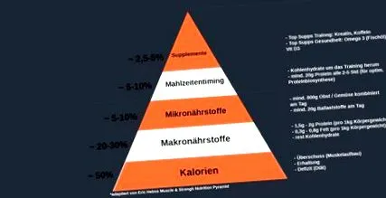táplálkozási hogyan