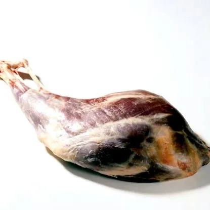 zerge Rupicapra
