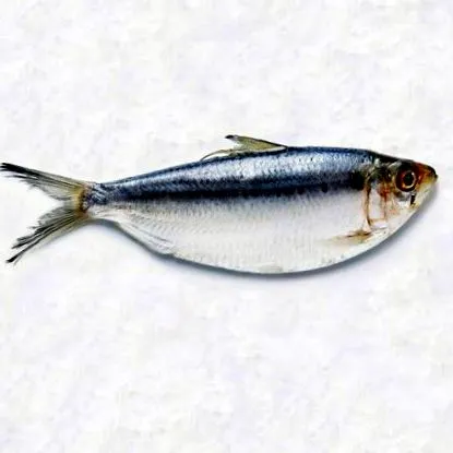 велики