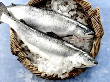 húsvéti