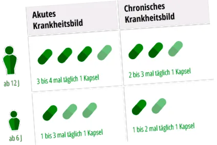 gelomyrtol